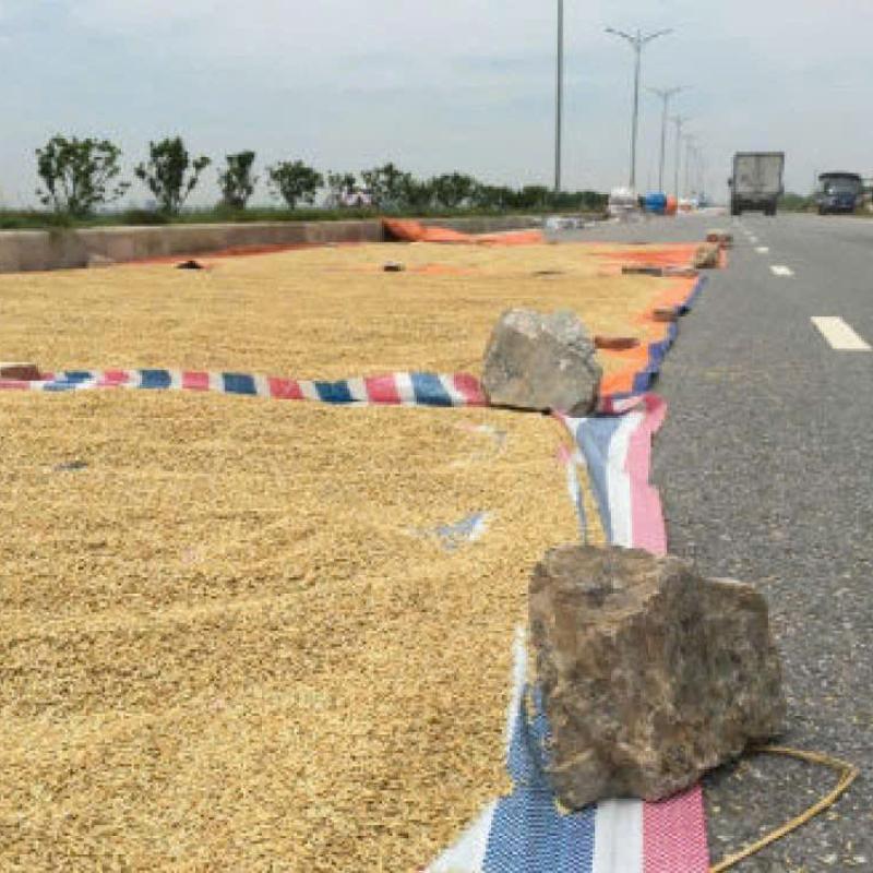 Bài tuyên truyền nhân dân không phơi thóc, đốt rơm rạ trên đường giao thông