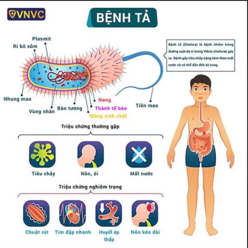 BÀI TUYÊN TRUYỀN PHÒNG CHỐNG BỆNH TẢ