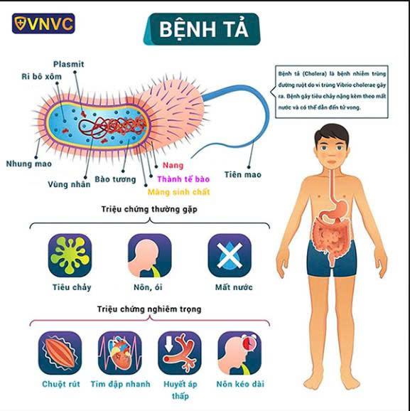 BÀI TUYÊN TRUYỀN PHÒNG CHỐNG BỆNH TẢ