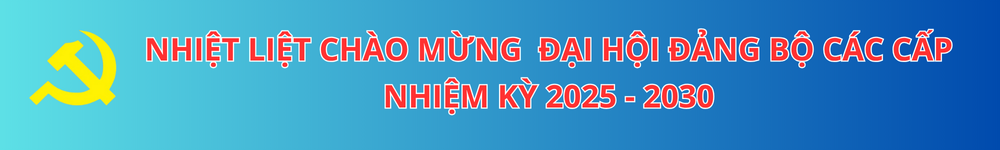 Đại hội đảng bộ các cấp