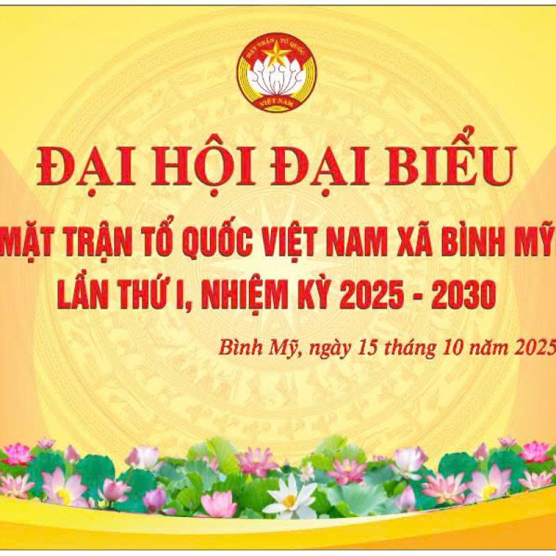 Đại hội MTTQ và các đoàn thể chính trị - xã hội xã Bình Mỹ diễn ra từ ngày 15-19/10/2025