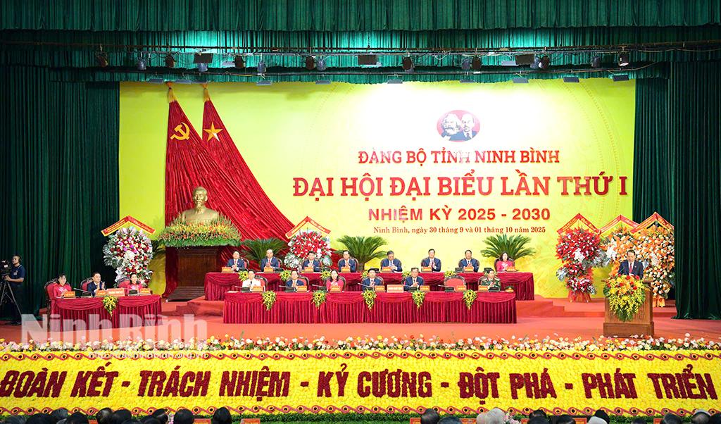 khai-mac-trong-the-dai-hoi-dai-bieu-dang-bo-tinh-n-4.jpg