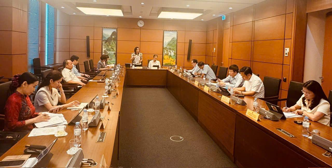 Kỳ họp thứ 9, Quốc hội khoá XV: Thảo luận tổ về một số dự án Luật, dự thảo Nghị quyết