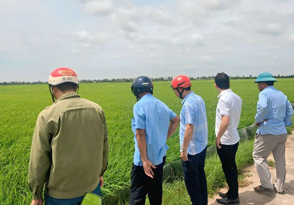 Các đồng chí lãnh đạo UBND xã Giao Ninh kiểm tra thực tế đồng ruộng, phát động phòng trừ sâu bệnh gây hại lúa mùa 2025