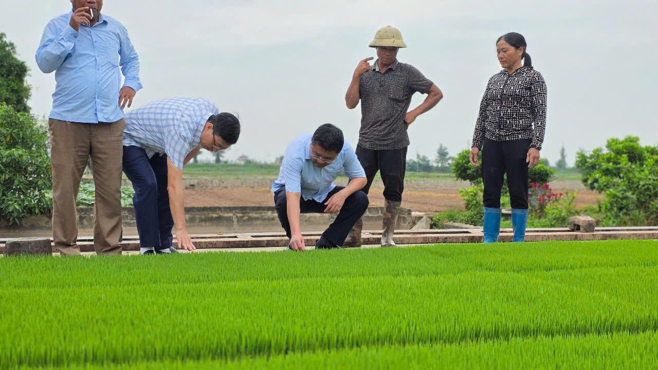 Các đồng chí lãnh đạo xã Giao Ninh kiểm tra các điều kiện sản xuất vụ Mùa năm 2025