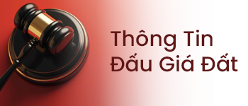 Đấu giá đất
