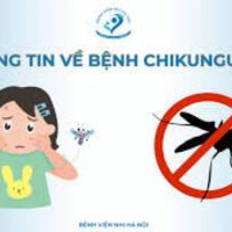 Những điều cần biết về bệnh Chikungunya
