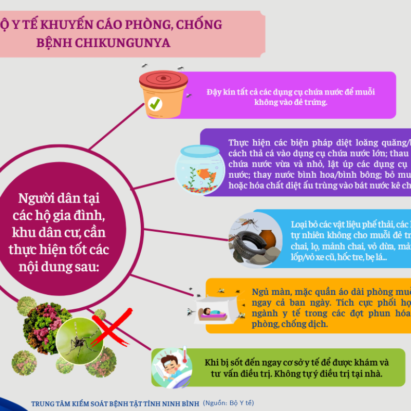 Bộ Y tế khuyến cáo phòng, chống bệnh Chikungunya