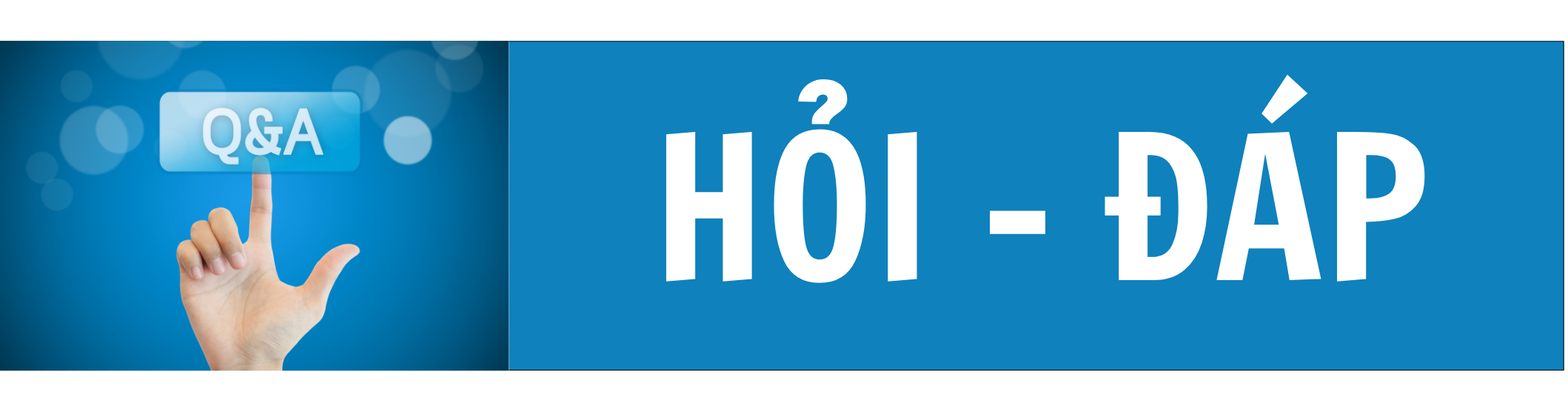 Hỏi đáp