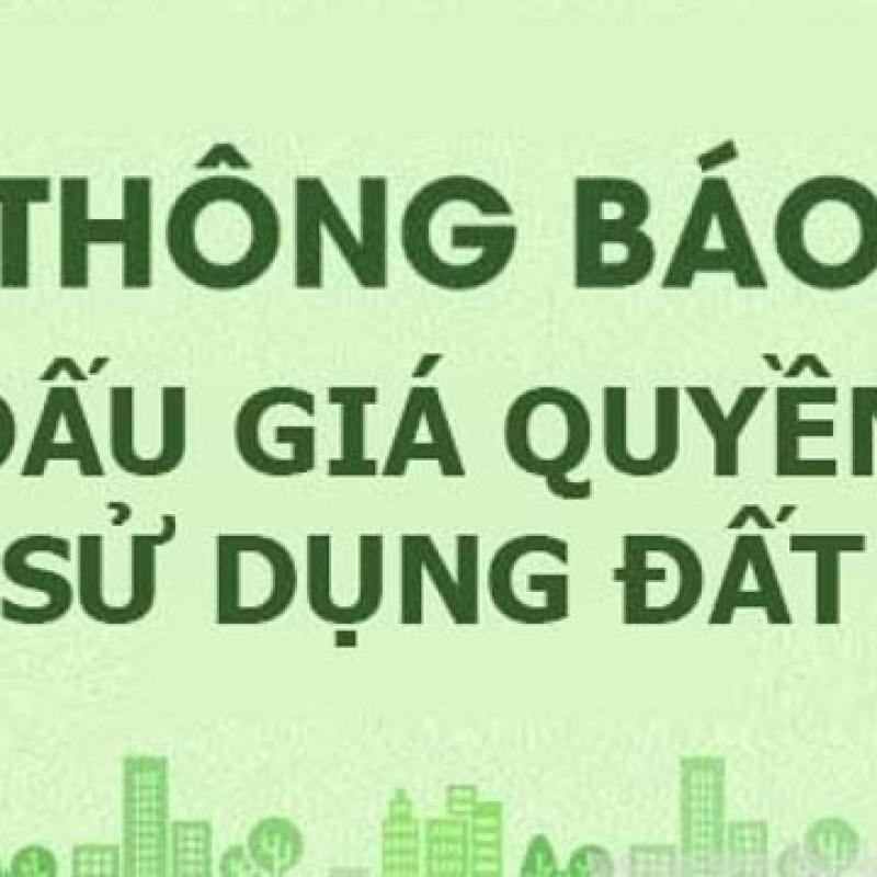 Thông báo đấu giá quyền sử dụng đất xã Nghĩa Sơn