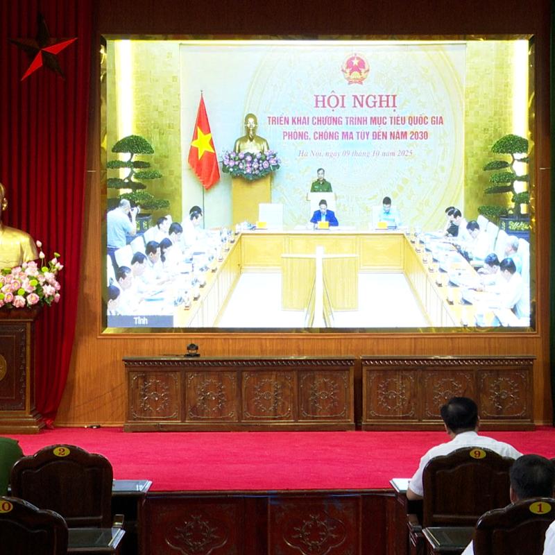 Hội nghị trực tuyến triển khai Chương trình mục tiêu quốc gia phòng chống ma tuý đến năm 2030