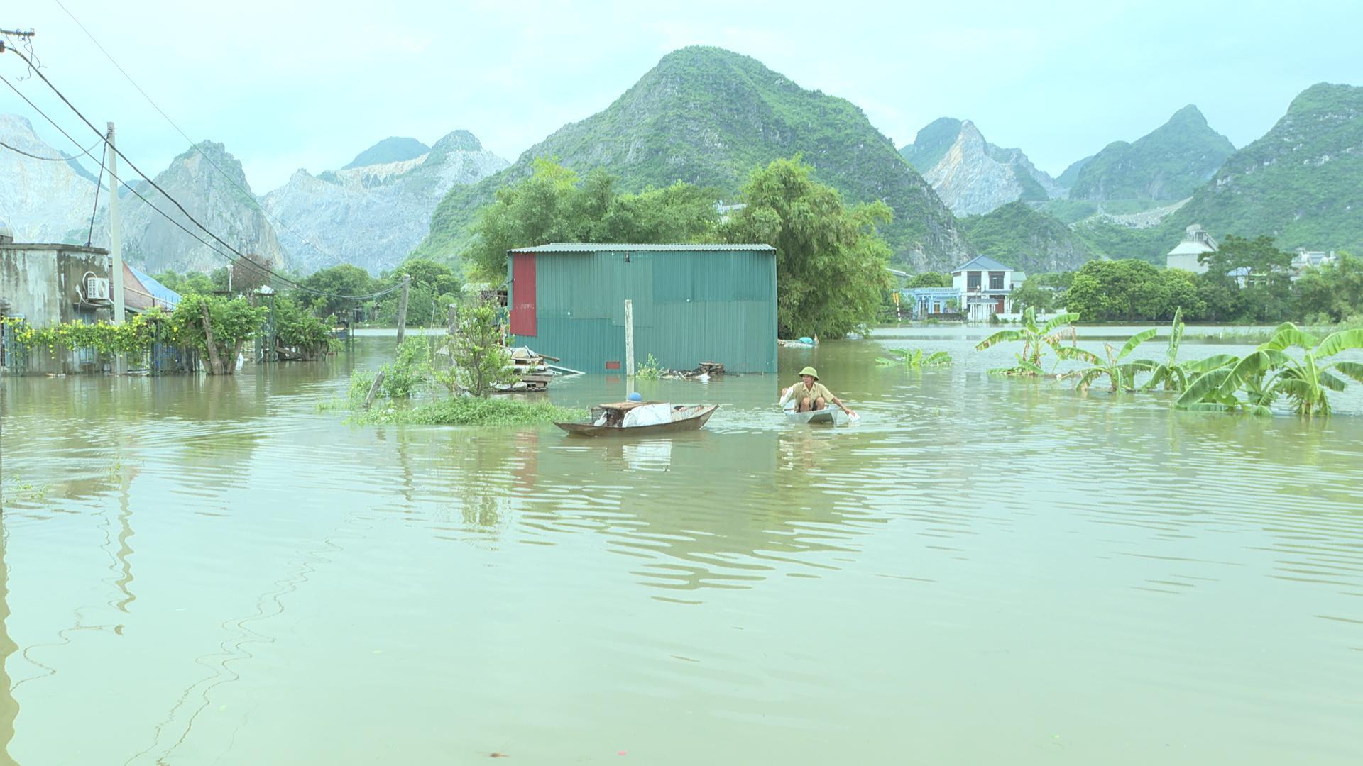 Tân Thanh: Tập trung các lực lượng ứng phó với nước sông Đáy dâng cao.