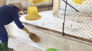 Chủ động phòng, chống dịch bệnh cho vật nuôi trong mùa mưa bão