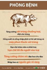Hướng dẫn nhận biết dịch tả lợn châu Phi và cách phòng, chống dịch