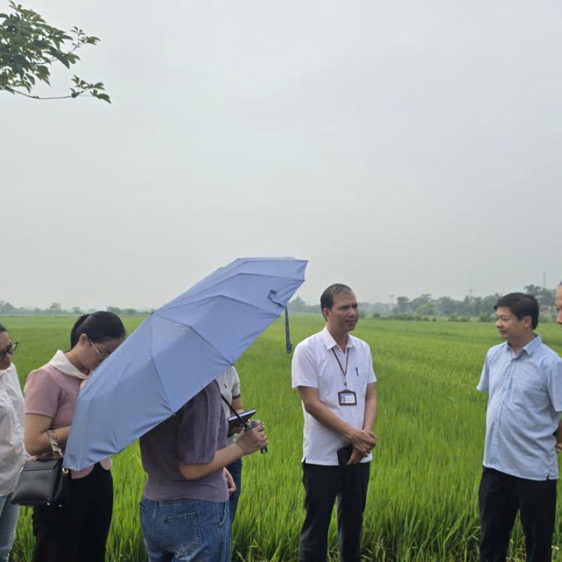 Sở Văn hoá và Thể thao tỉnh Ninh Bình kiểm tra công tác quản lý, tổ chức lễ hội, xây dựng đời sống văn hoá và gia đình trên địa bàn phường Tiên Sơn