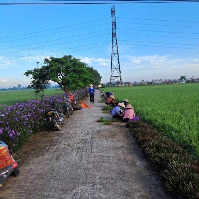 Hội LHPN xã Vũ Dương ra quân hưởng ứng phong trào “Ngày Chủ nhật xanh”