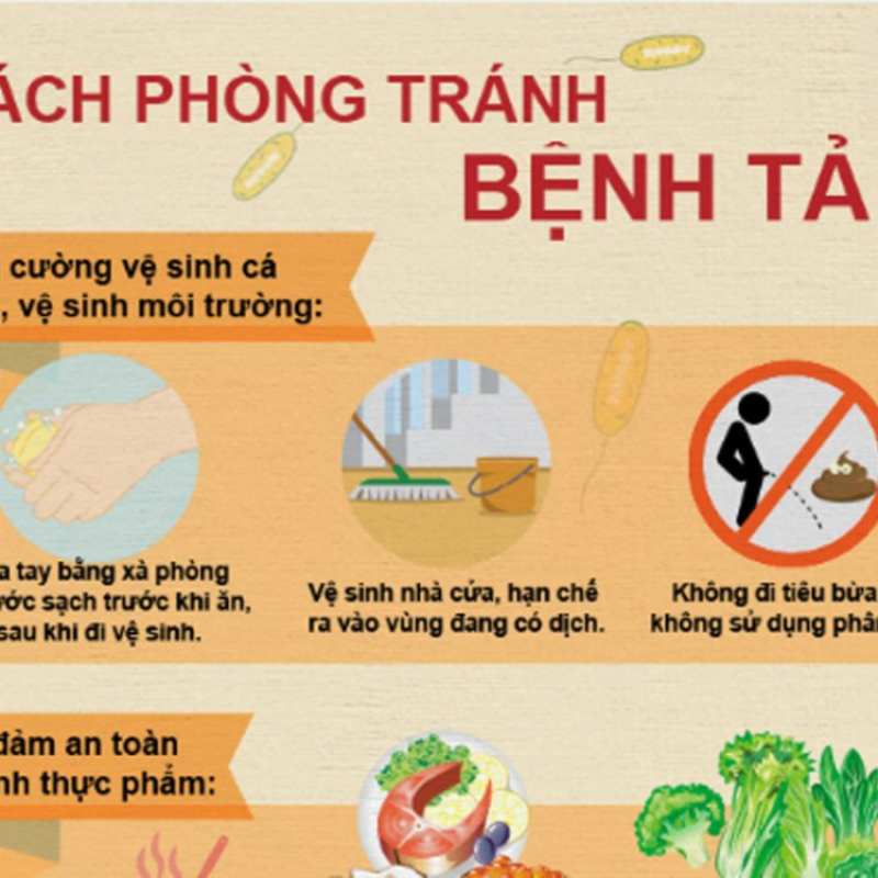 Xã Xuân Trường khuyến cáo người dân chủ động phòng, chống bệnh tả bảo vệ sức khỏe gia đinh và cộng đồng